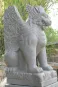 morepic-7